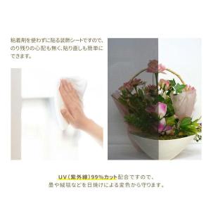 切り売り 窓ガラス フィルム 目隠し シート ...の詳細画像4