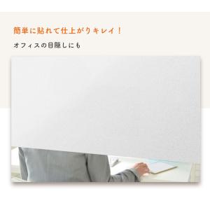切り売り 窓 ガラス フィルム 目隠し シート...の詳細画像5