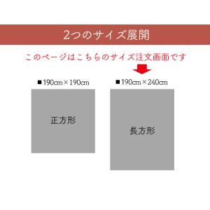 こたつ布団カバー コタツ上掛け 防水 ミッキー...の詳細画像5