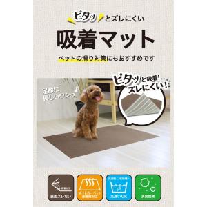 タイルマット ペット 吸着 タイルカーペット ...の詳細画像1