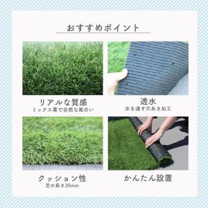 人工芝 庭 90cm×10m ロール 芝丈35...の詳細画像2