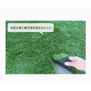 人工芝 庭 90cm×10m ロール 芝丈35...の詳細画像4