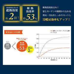 断熱カーテンライナー プレミアム ビニールカー...の詳細画像2