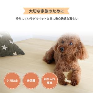 切り売り ペットマット フロア用 防水 滑らな...の詳細画像1