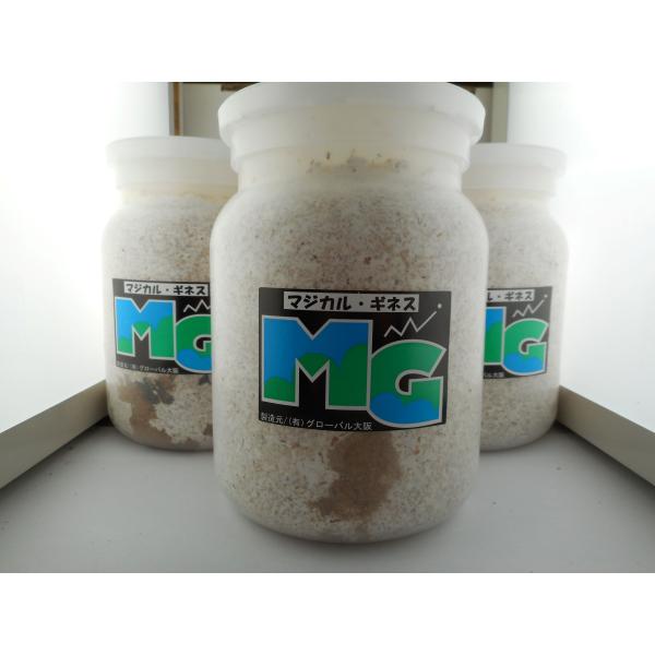 国産オオクワガタ・森田ゴールド・初２令幼虫３頭セット（ＧＧ８６ＳＰ・秘蔵系統）(1)