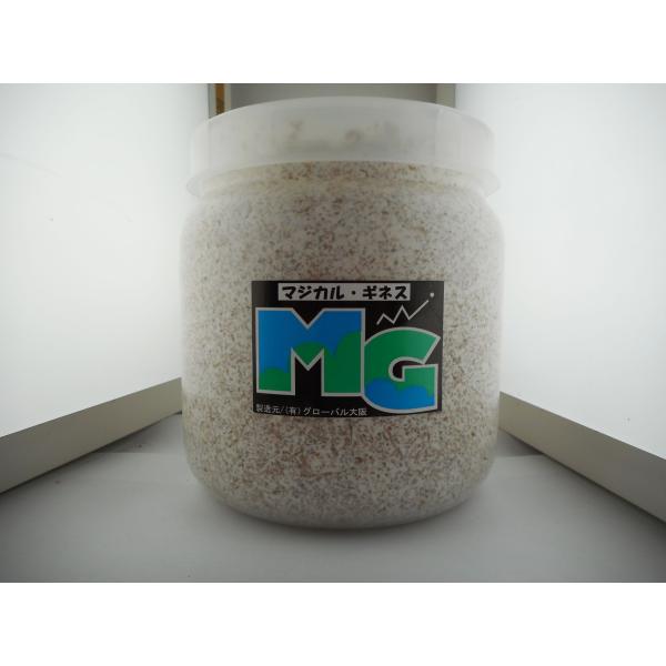 マジカルギネス1400エノキ