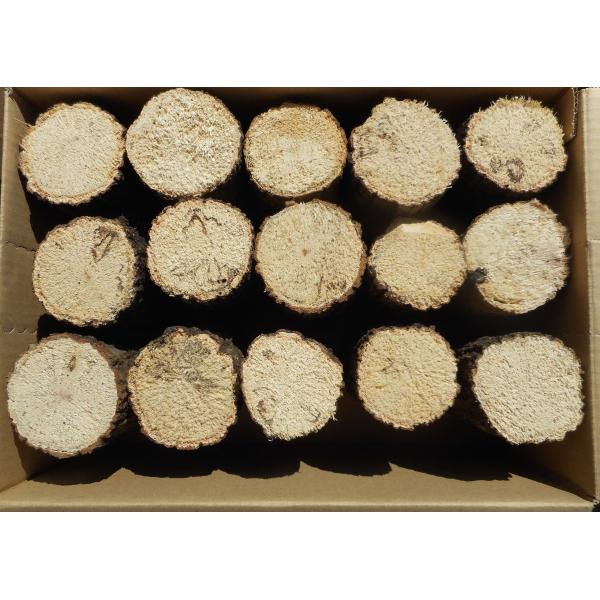 オオクワガタ産卵飼育材・直径約７cm・１５本入り