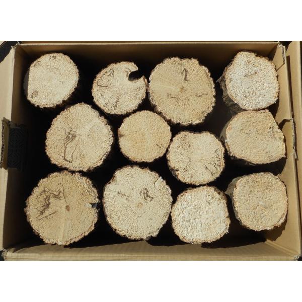 オオクワガタ産卵飼育材・直径8〜１１cm・１２本入り