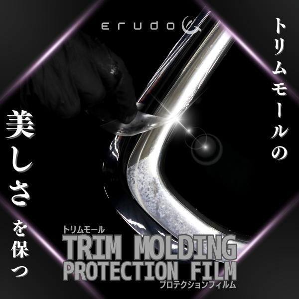 アウディ　e-tron GT 【FWEBGS型】年式R3.10-　トリムモール  アルミモール　白濁...