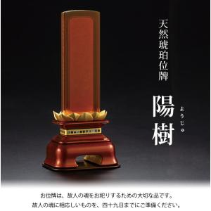 【高級位牌】天然琥珀位牌 陽樹(ようじゅ) 4.5寸の詳細画像1