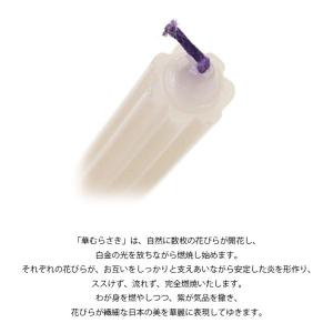 華むらさき プチ (2206000538)の詳細画像2