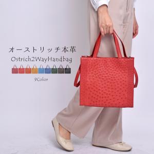 sankyo shokai オーストリッチ ハンドバッグ / レディース A4