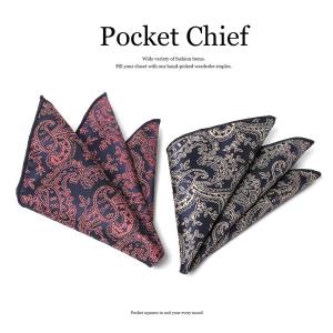 ポケットチーフ ペイズリー柄 メンズ 大人用 パーティー