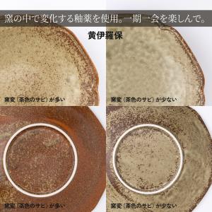 カレー皿 花音22cm深皿 パスタ皿 大皿 深...の詳細画像5