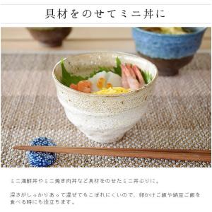 どんぶり おしゃれ 和食器 丼ぶり お好み丼 ...の詳細画像2