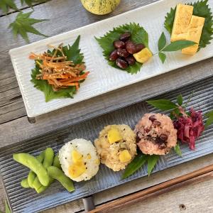 食器 和食器 おしゃれ 皿 さんま皿 5色の櫛...の詳細画像5
