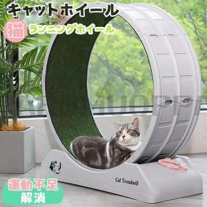 キャットホイール 猫 回し車 ロック装置内蔵 静...の商品画像