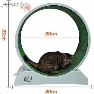 キャットホイール 猫 回し車 ロック装置内蔵 ...の詳細画像3