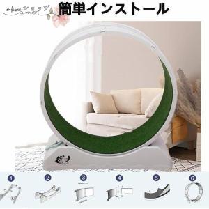 キャットホイール 猫 回し車 ロック装置内蔵 ...の詳細画像4