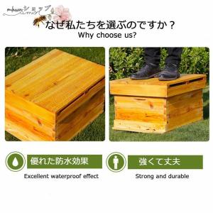 巣箱 養蜂箱養蜂器具蜂蜜蜂の巣箱 ミツバチ セ...の詳細画像5