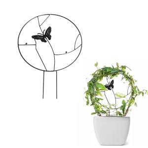 朝顔 鉢 支柱の商品一覧 通販 Yahoo ショッピング