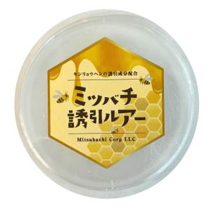 ニホンミツバチの蜜蝋 【80g】 :m1:週末養蜂家ショップ ヤフー店 