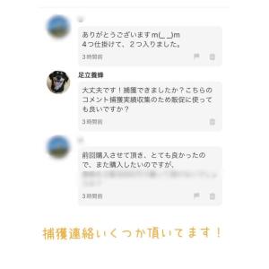 ミツバチ誘引剤【4個セット】ミツバチ誘引ルアー...の詳細画像5