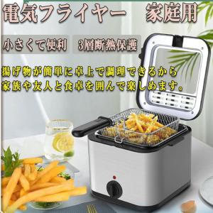 電気フライヤー 家庭用 卓上 スクエアフライヤー