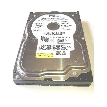 並行輸入 Western Digital wd800jd-75msa3 80 GB HDD、3.5 ...