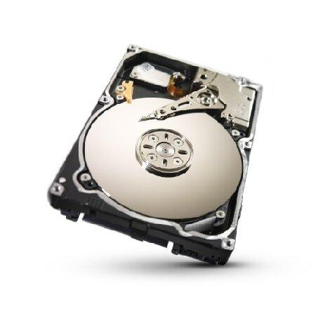 並行輸入 Seagate 250GB Constellation SATA 6Gb/s 64MB C...
