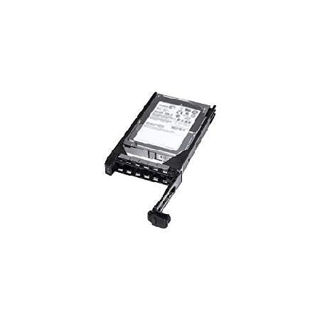 【並行輸入】Dell - Hard drive - 4 TB - hot-swap - 3.5" -...