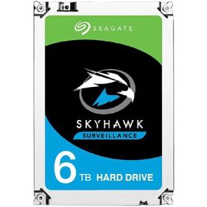 並行輸入 Seagate Skyhawk ST6000VX001 6TB 3.5
