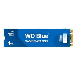 WD Blue WDS100T3B0A ［2.5インチ内蔵SSD / 1TB SA510 SATA SSD 2.5