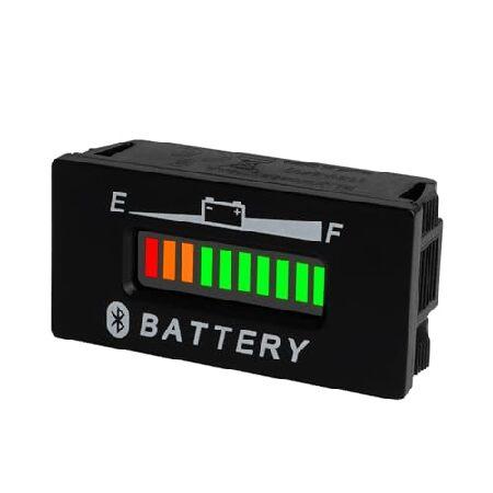 並行輸入 Runleader DC 12V/24V 36V 48V LED Battery Capa...