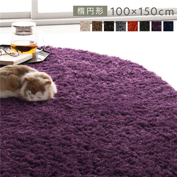 ラグ マット 絨毯 約R100×150cm 楕円形 パープル 洗える 滑り止め付 軽量 ホットカーペ...
