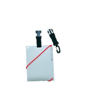 [ 輸入アクセサリー ] 水中スレート 小