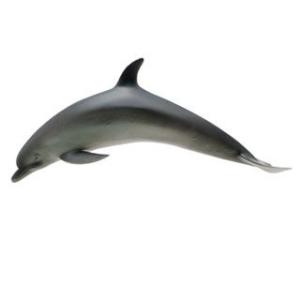 フェバリット FM905 バンドウイルカ（70615）