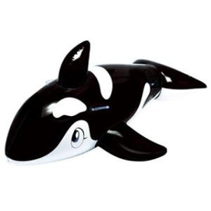 [ イガラシ ] 大きなシャチフロート(クリアブラック) 浮き輪【180×115cm】 FRB-18...