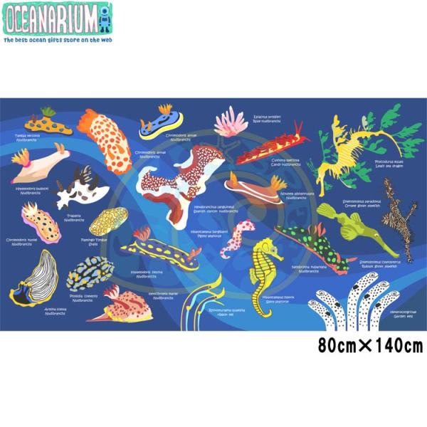 [ OCEANARIUM ] ドライタオル T01 Nudibranch identificatio...