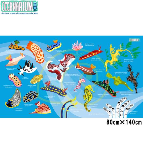 [ OCEANARIUM ] ドライタオル T09 skyblue nudibranches ide...