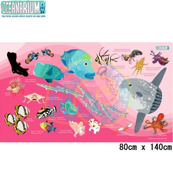 [ OCEANARIUM ] ドライタオル T11 Pink Mola &amp; Reef fish id...