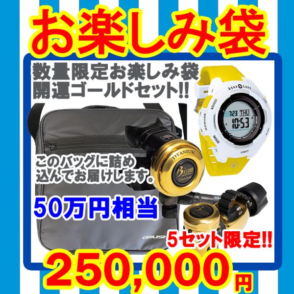[ mic21オリジナル ] 2025 お楽しみ袋 開運ゴールドセット 福袋