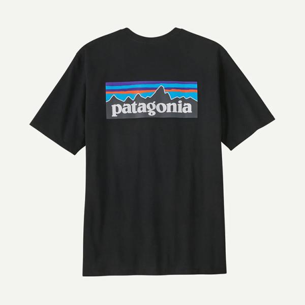 [ Patagonia ] パタゴニア メンズ・P-6ロゴ・レスポンシビリティー 38504