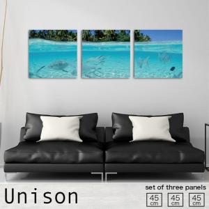 アートパネル 水中 魚 海 海中 島 アクア 群れ ブルー