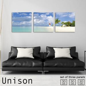 アートパネル 浜辺 白浜 海 ビーチ 空 風景 雲 ヤシ
