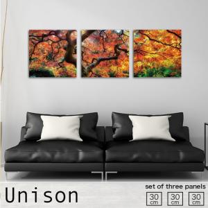 アートパネル 森 木 木々 緑 森林 自然 風景 ウォール おしゃれ 壁掛け