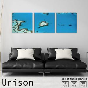 11月中旬入荷予定] ジェリー・マルケス キャンバスアート『Blue