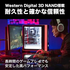 ウエスタンデジタル WD Black SN85...の詳細画像4