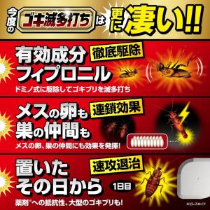 ゴキブリ ゴキブリ駆除 ゴキブリがいなくなる ...の詳細画像2