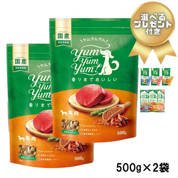 500g ×2袋セット 選べるプレゼント付き ヤムヤムヤム Yum Yum Yum 馬肉 ドライタイ...